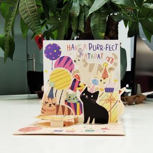 Birthday Card | Cat