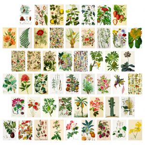 Decorative Card | Flower Plant Mixed