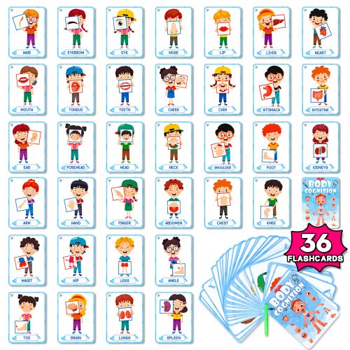 Education Card | Body Cognition