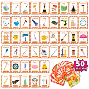 Education Card | Daily Item Cognition