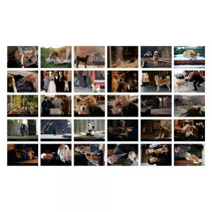 Movie Postcard | Hachi